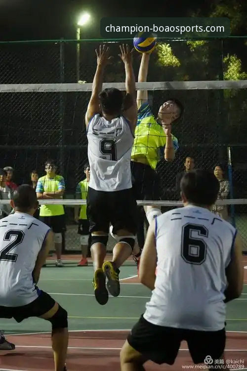 博澳体育官方网站手机版使用教程：从下载到精通冠军之路